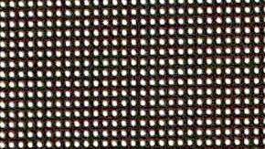 Raúl Araiza | Mezcalent