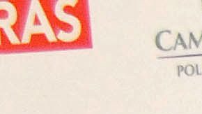 Isabel Lascurain | Mezcalent