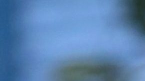 Paty Navidad | Mezcalent