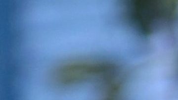 Paty Navidad | Mezcalent