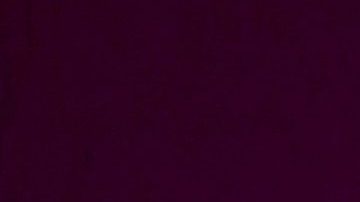 Eduardo Yáñez | Mezcalent