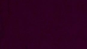 Eduardo Yáñez | Mezcalent