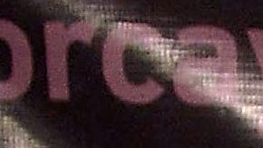 Maribel Guardia utiliza un tratamiento médico en contra del envejecimiento | Mezcalent