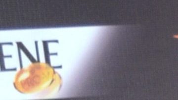 Cynthia Rodríguez | Mezcalent