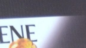 Cynthia Rodríguez | Mezcalent