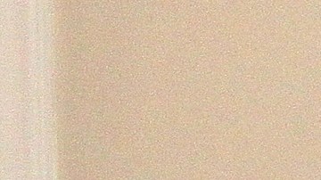 Julián Gil | Mezcalent