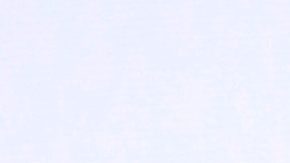 Michelle Renaud | Mezcalent