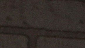 Vadhir Derbez | Mezcalent