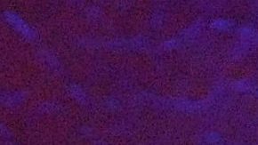 Gloria Trevi está dispuesta a hablar con las autoridades | Mezcalent