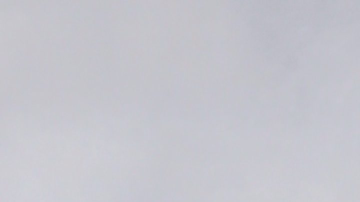 Inés Gómez Mont podría estar en las Bahamas | Mezcalent