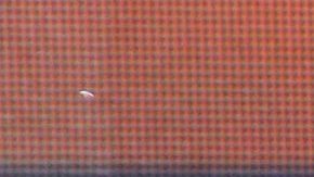 Andrea Legarreta | Mezcalent