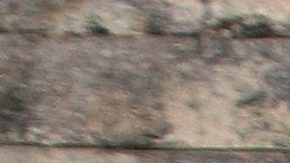 Paul Stanley | Mezcalent