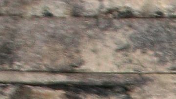 Paul Stanley | Mezcalent