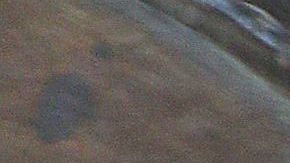 Barbara Mori | Mezcalent