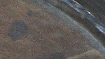 Barbara Mori | Mezcalent