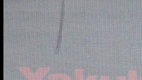 Julian Figueroa | Mezcalent