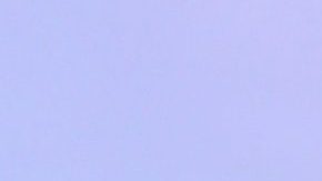 Adamari López | Mezcalent