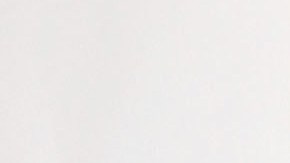 Frida Sofía | Mezcalent