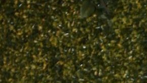 Geraldine Bazan y Elissa Marie