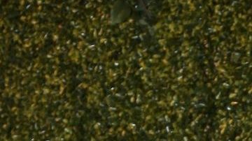 Geraldine Bazan y Elissa Marie