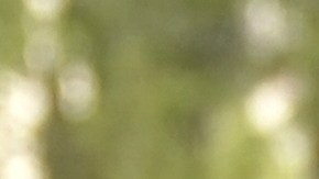 Emma Coronel, esposa de Joaquín "Chapo" Guzmán | TIMOTHY A. CLARY / AFP via Getty Images