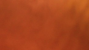 Cardi B | Rich Fury/Getty Images for Fashion Nova