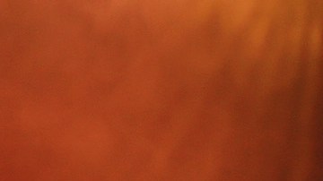 Cardi B | Rich Fury/Getty Images for Fashion Nova