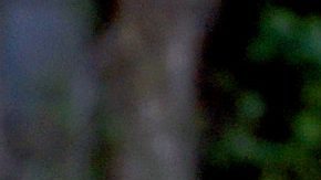 Yalitza Aparicio le hizo homenaje a las tradiciones de su país | Yalitza Aparicio | Getty Images, Presley Ann