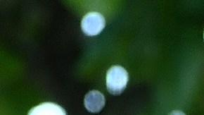 Ana de Armas | Getty Images