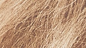 Danna Paola en la premier de 'El Rey Leon' en el teatro Goya en Madrid España | Getty Images, Carlos Alvarez