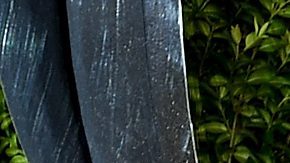 Thalia | Getty Images, Dimitrios Kambouris