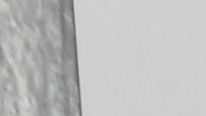 Eiza Gonzalez |Getty Images, Neilson Barnard