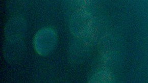 Bárbara Mori | Cortesía