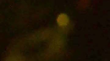 Paty Cantú | Mezcalent