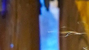 Chiquis Rivera en los PLN 2021