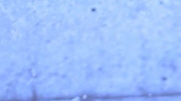 Galilea Montijo se fracturó el pie izquierdo | Mezcalent