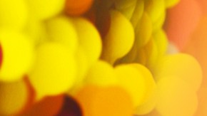 '100 Latinos Dijeron' por Estrella TV