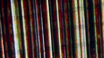 Galilea Montijo | Mezcalent