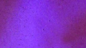 Luis Miguel en concierto de 1994 | Mezcalent