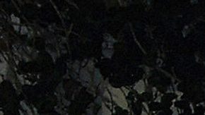 Edith González fue homenajeada por su única hija | Mezcalent