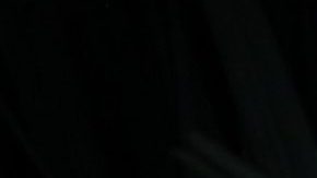 Andrea Legarreta | Mezcalent