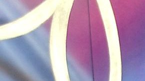 Violeta Isfel | Mezcalent