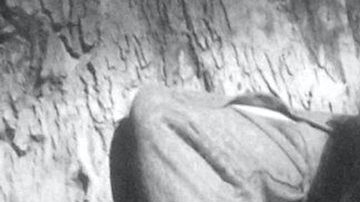 Isela Vega | Mezcalent