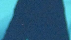 Luis Miguel | Mezcalent