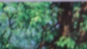 Héctor Sandarti sufrió uno de los episodios más traumáticos de su vida 20 años atrás