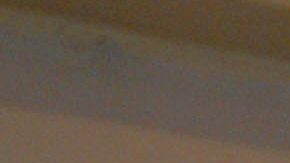 Lupita D´Alessio | Mezcalent