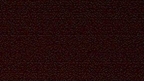 Paco Stanley | Mezcalent