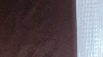 Lolita Ayala | Mezcalent