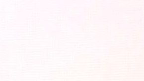 Fernando Noriega | Mezcalent