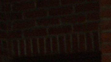 Laura León | Mezcalent